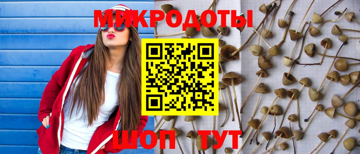 купить наркотики сайты  Вход с VPN  Долгопрудный  Псилоцибиновые грибы мицелий 